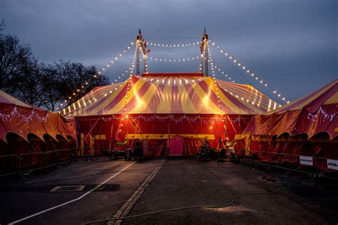 The Circus Night brabet